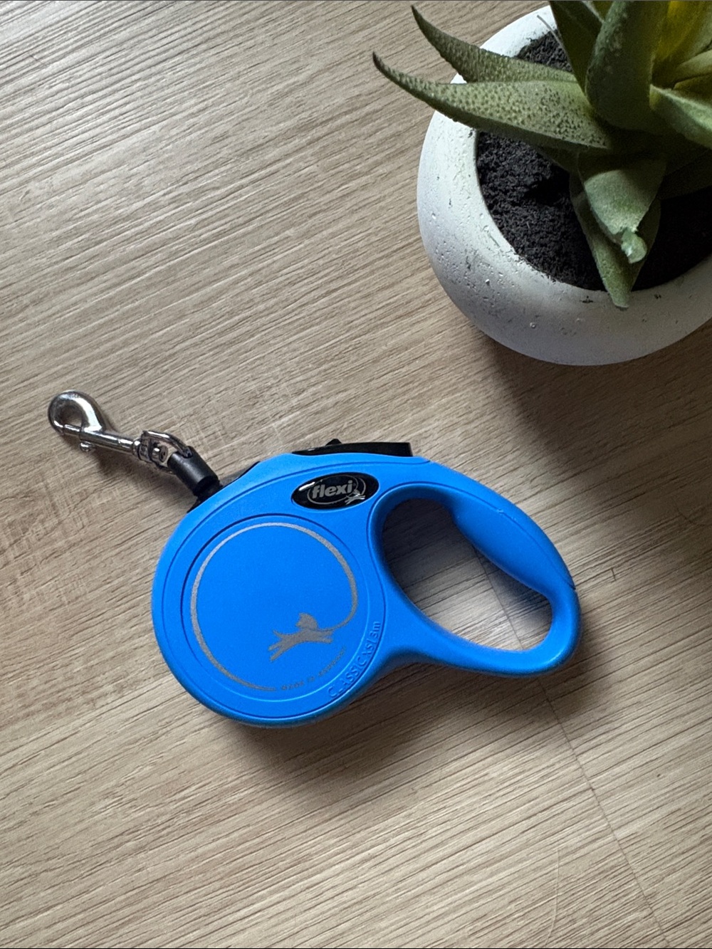 Retractable Dog Leash | 10ft | Size XS